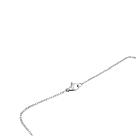 Ketting Dames Stainless Steel Zilver met parelmoer hartjes hanger