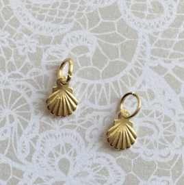 Losse Bedels Oorringen Staal Goud kleine mini Schelpjes