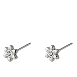 Strass Oorbellen Zilver