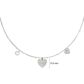 Hartjes ketting dames stainless steel zilver