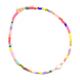 Gekleurde kralen ketting rocailles Rvs met parels