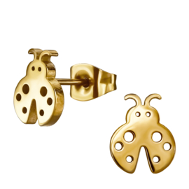 Lieveheersbeestje Oorknopjes Staal Goud