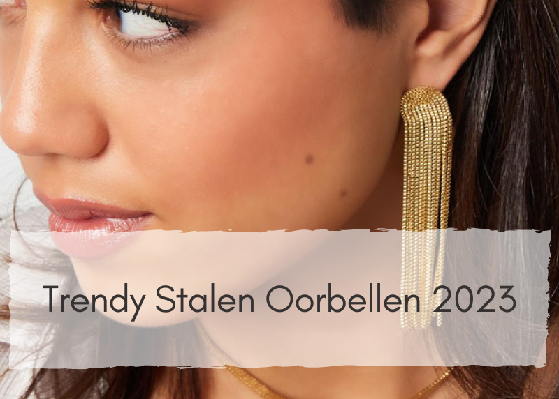 Trendy stalen oorbellen van 2023 bij Idhuna Jewels