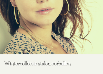 Winter collectie stalen (stainless steel) oorbellen