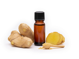 Essential oil Ginger - EO056