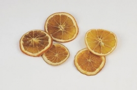 Sinaasappel schijfjes - BEK014