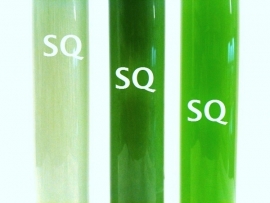 Cosmetic colorant - pigment solution - green - KCP05