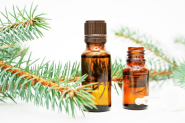 Essential oil Pine - EO008