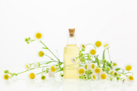 Fragrance oil for cosmetics / soaps / melts - Camomile - GOF341