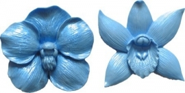 - AANBIEDING - First Impressions - Mal - Bloemen Set - orchidee 2 - FL303