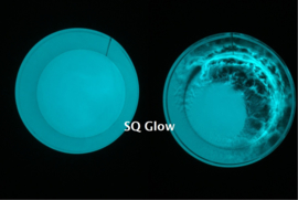 SQ Glow - Zuiver kleur pigment - Zinksulfide -  Blauw Groen - KOC075