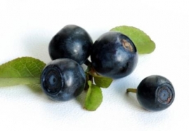 Fragrance oil for cosmetics / soaps / melts - 100% natural - Blueberries - GON211