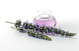 Geurolie voor cosmetica / zeep / melts - Lavendel - GOF330
