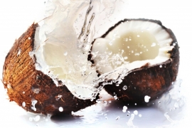 Fragrance oil for cosmetics / soaps / melts - Coconut - GOF302