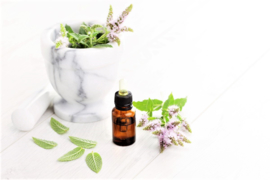 Essential oil Mint (Peppermint) - EO017