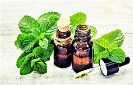 Essential oil Mint (Field mint) - EO026