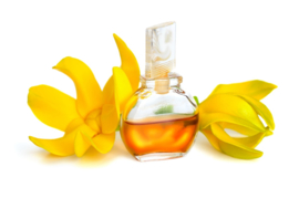 Geurolie voor cosmetica / zeep / melts - Ylang Ylang - GOB505