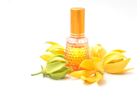 Essential oil Ylang Ylang (blend) - EO048