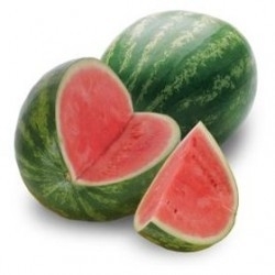 Melon seed oil - OBW033