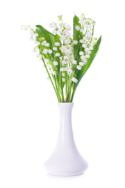 Fragrance oil for cosmetics / soaps / melts - Lily of the Valley - GOS407