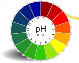 pH-neutrale zeep - pH-neutraal / milde zepen - gezonde zeep