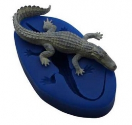 - AANBIEDING - First Impressions - Mal - Dieren - alligator 3 - A277