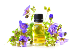 Essential oil Geranium - EO010