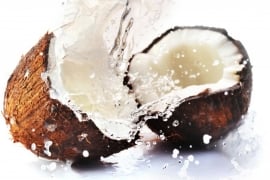 Fragrance / aromatic oil for lip balm - Coconut - GOL302