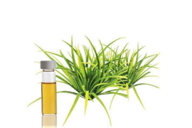 Essential oil Citronella - EO007