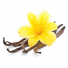 Fragrance oil for cosmetics / soaps / melts - Vanilla - GOB512