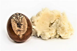 Shea butter - unrefined (organic) - OBW019