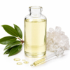 Essential oil Camphor - EO042