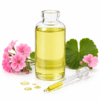 Essential oil Geranium - EO010
