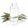 Essential oil Eucalyptus - EO009