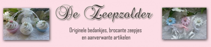 banner_de_zeepzolder.jpg