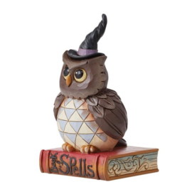 Halloween Owl Pint Sized H13cm Jim Shore 6012749 *