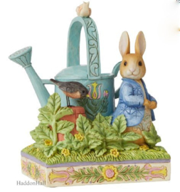 Peter Rabbit Figurine H15cm Beatrix Potter By Jim Shore 6008744 *
