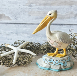 Coastal Pelican "Shoreline Majesty" H17cm Jim Shore 6016524