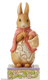 Beatrix Potter by Jim Shore - Set van 5 beelden *