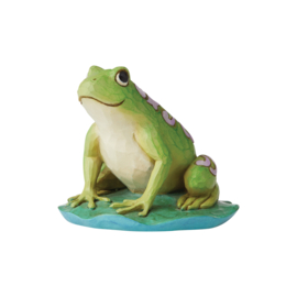 Frog Mini Figurine H8cm Jim Shore 6006448 * Retired