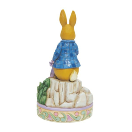 Peter Rabbit with Onions H17cm Jim Shore 6010687 Superaanbieding *