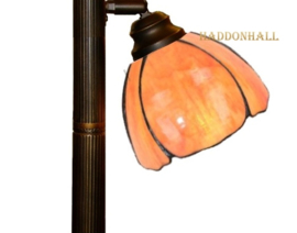 8205  Vloerlamp H176cm  met 2 Tiffany kappen Ø17cmTulipa