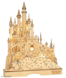 Illuminted Castle - Set van 4 - Belle , Cinderella, Aurora & Ariel AANBIEDING *