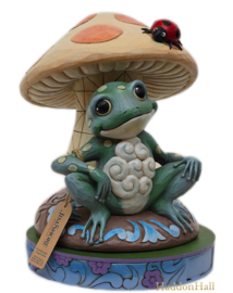 Frog & Mushroom "A Frog's Life" H19 cm + Base gekleurd Ø16cm Jim Shore