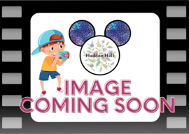 Jack & Sally H23cm Disney Showcase 6014972 Preorder