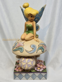 Tinker Bell Signed by Jim 4013260 no original box, very rare item , Verkocht