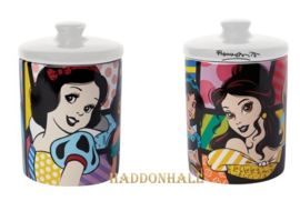 Princess Cookie Canister Small H16cm Disney by Britto 6015555 *