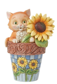 Cat in Flowerpot H17cm Jim Shore 6016387