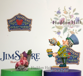 Mad Hatter & Cheshire Cat - uit 2018   6001273  en  6001274 , retired