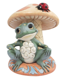 Frog & Mushroom "A Frog's Life" H18,5cm Jim Shore 6014429 *